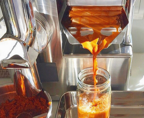 PURE Juicer Review