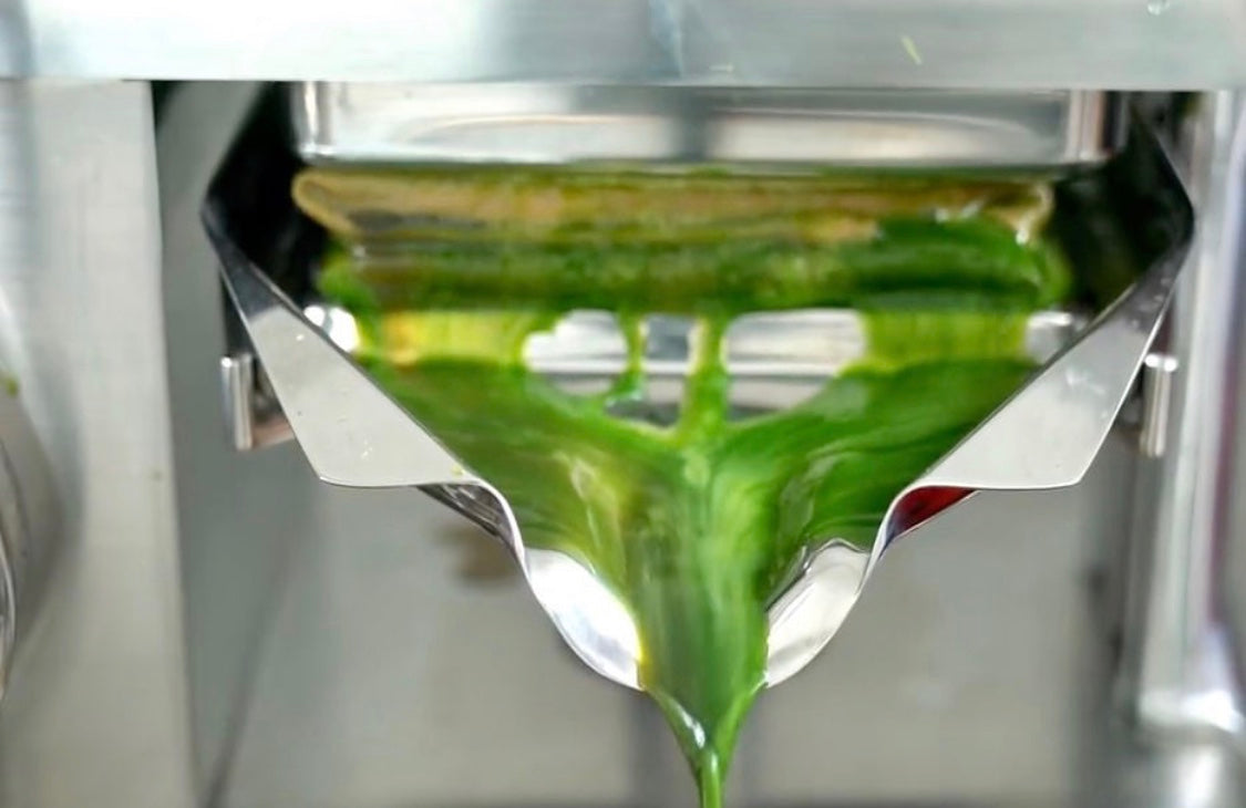 PURE Juicer Gerson Therapy Green Juice 
